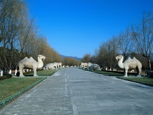 Sacred Way Ming Tombs 