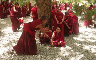Monks debating at Sera Monastery.