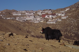 Ganden to Samye Trek in Tibet