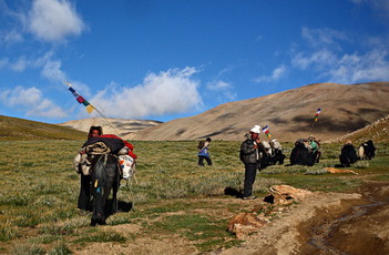 Trek from Tingri to Rongbu Monastery,Tibet