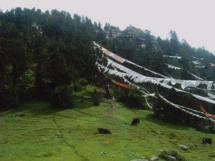 Trek at Derge,Kham