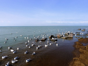 Cycling Around Koko Nor Lake,Qinghai Province