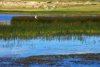 Cycling Around Koko Nor Lake,Qinghai Province