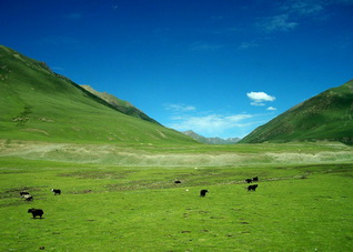 Qiangtang Prairie in Northern Tibet