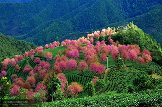 Nanjian,Yunnan,China