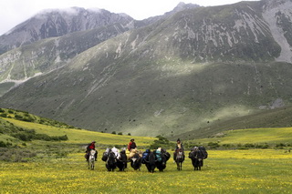 Tibetan Horseback Holiday in Kham,West Sichuan