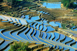 Yuanyang Terraced Fields,Yunnan Province,China