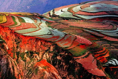 Red Earth South of Yunnan,China