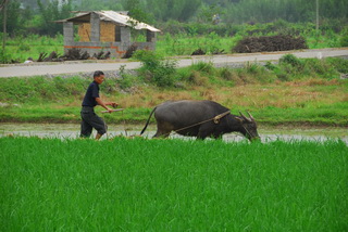 Rustic Yangshuo,China