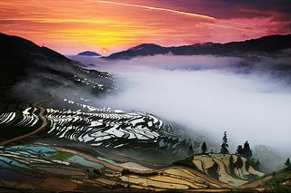 Longsheng Terraced Rice Fields,Guilin,China