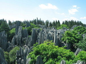 Stone Forest,Kunming