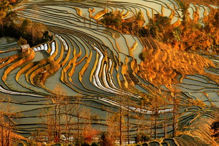 Yuanyang Hani Rice Terraces,Yunnan