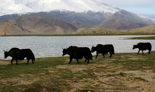 Karakul Lake,Kashgar