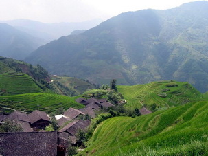 Longji Rice Terraces, Longsheng, Guangxi