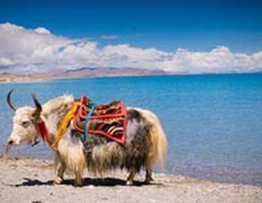 Nam Tso Lake in Tibet