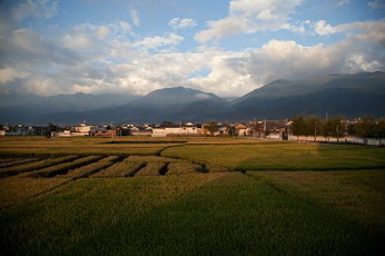 Paddy Fields in Dali,Yunnan Province