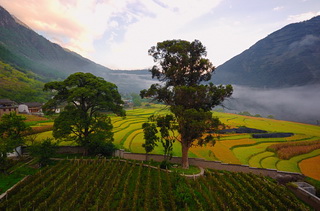 Three Parallel Rivers of Yunnan Protected Areas