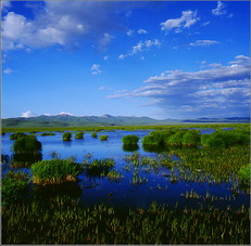 Wetland Protection in China