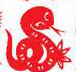 Snake,Chinese Zodiac