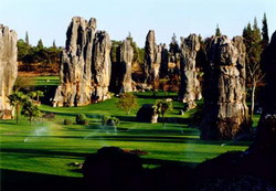 stone forest kunming