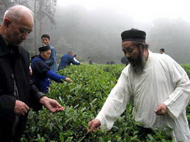 Qingcheng Taoist Tea, Sichuan,China