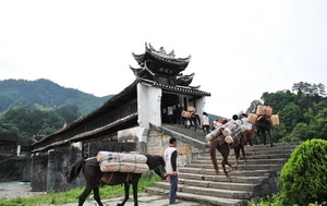 Tea-Horse Caravan Route,Yunnan
