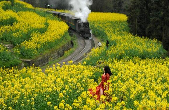 Jiayang Steam Train,China Train Travel