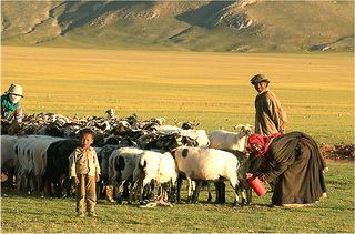 Tibet Eco and Culture Journey to the Northern Highland