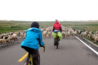 Biking Koko Nor Lake Biking Koko Nor Lake