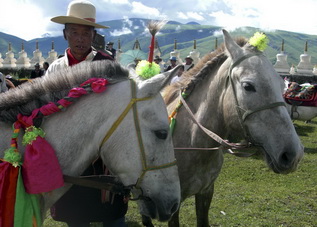 Horse Riding in West Sichuan