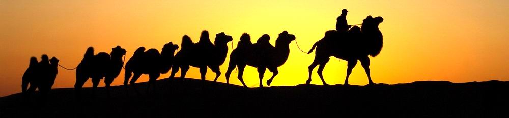 Silk Road Journeys Silk Road Journeys