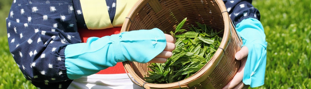 Tea Tours to China 2019 Tea Tours to China 2019